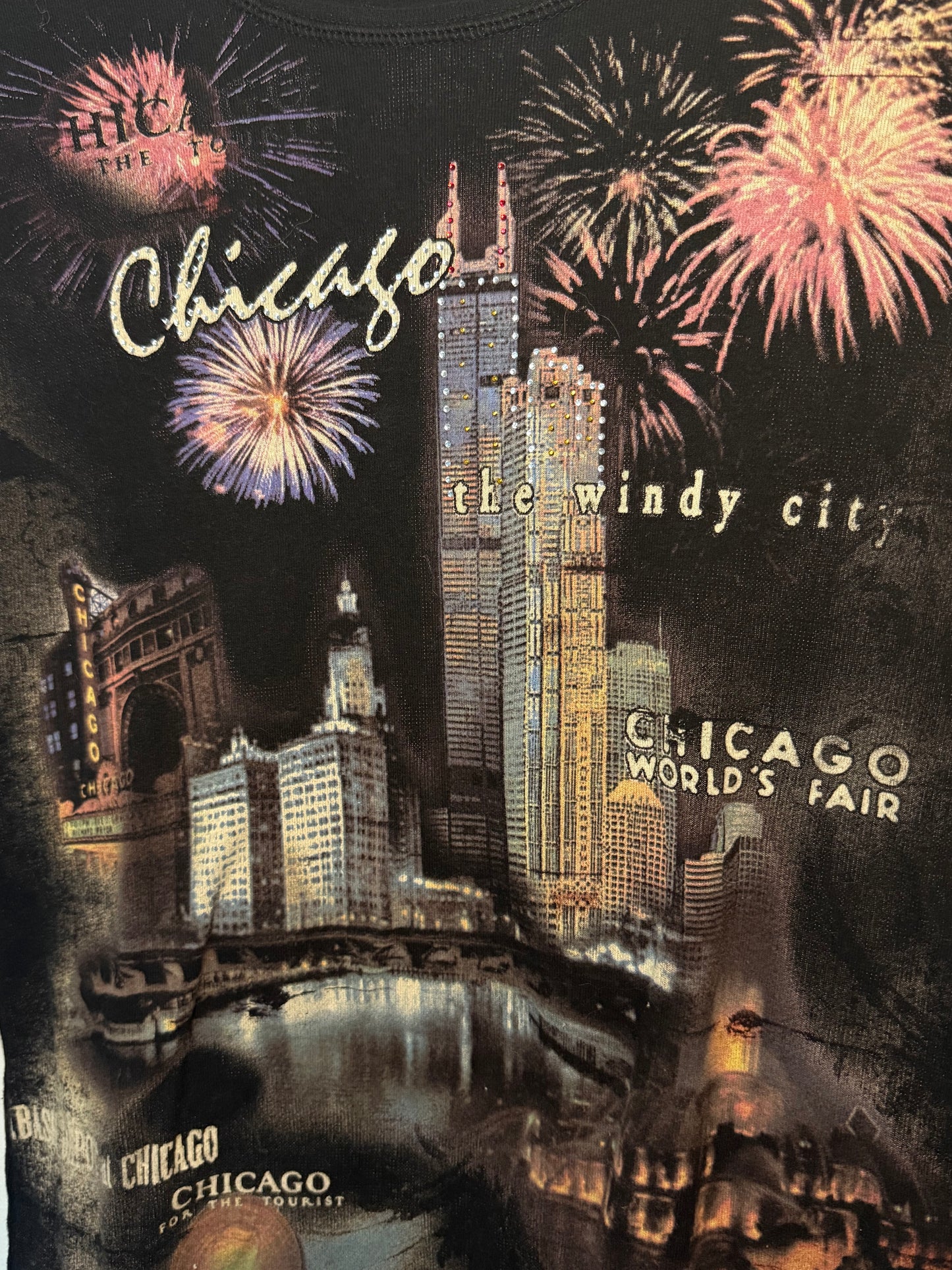 The Most Fun Y2K Chicago Quarter Sleeve