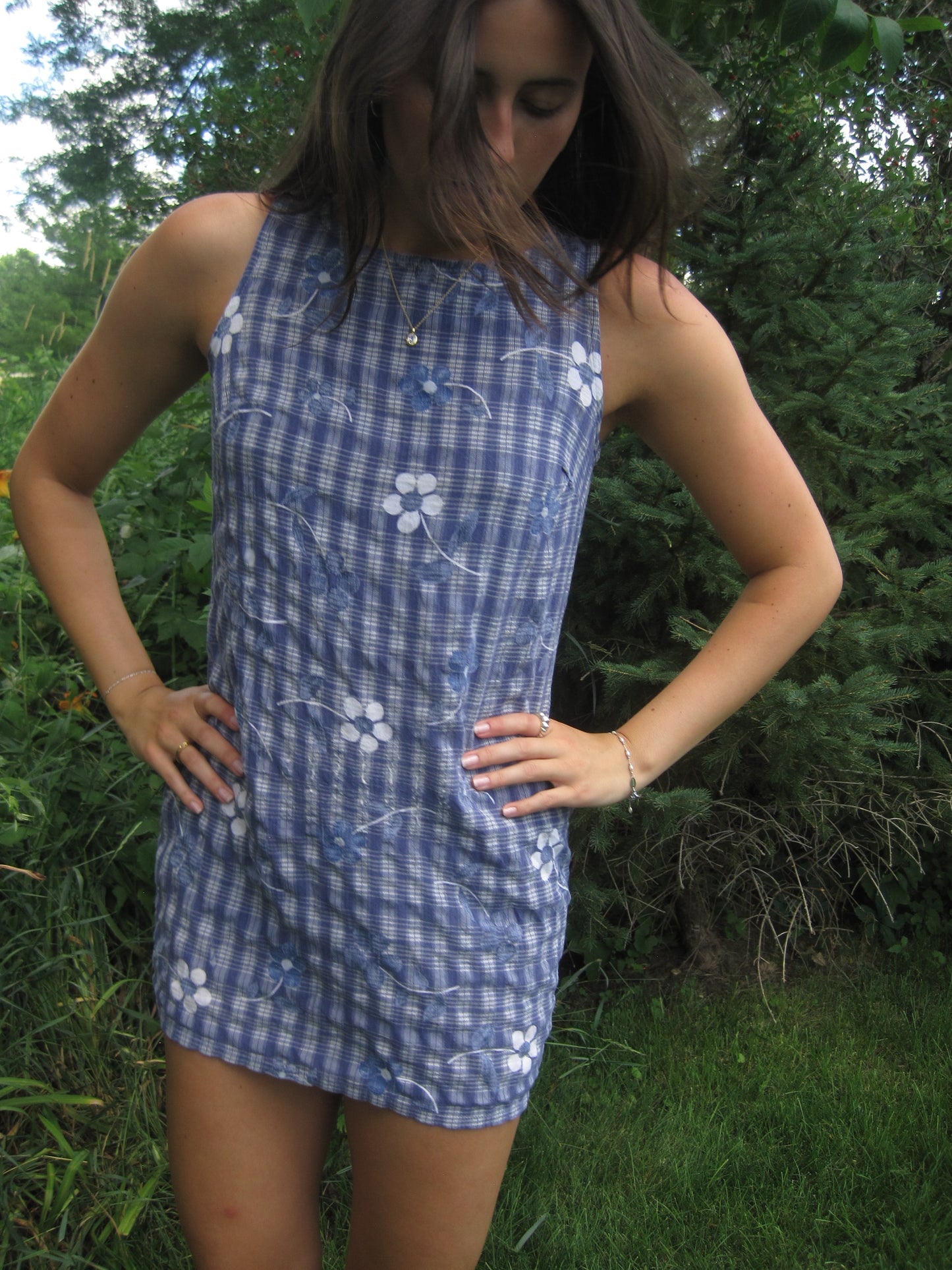 Vintage Cali Picnic Dress