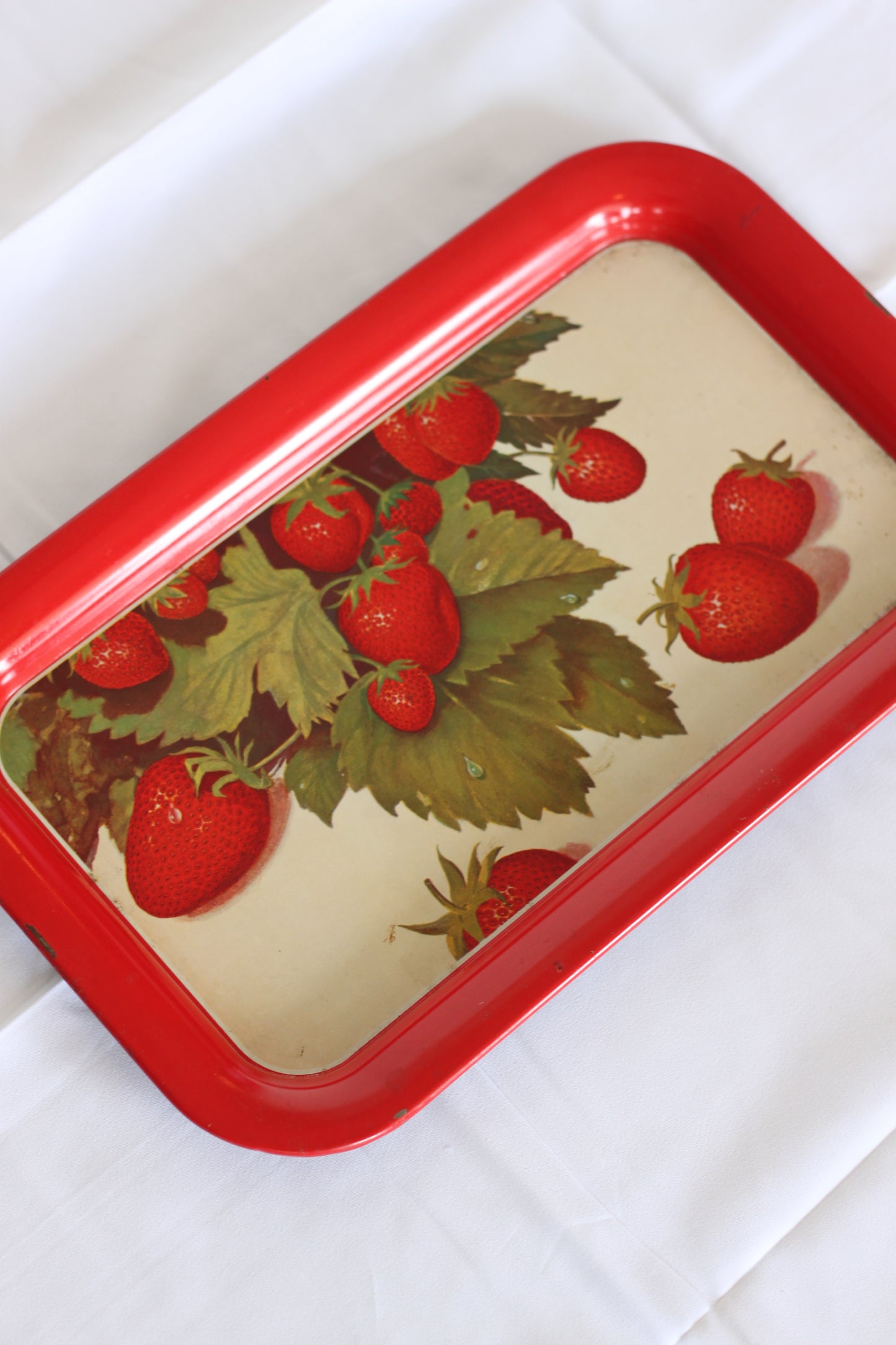 Metal Strawberry Picking Tray