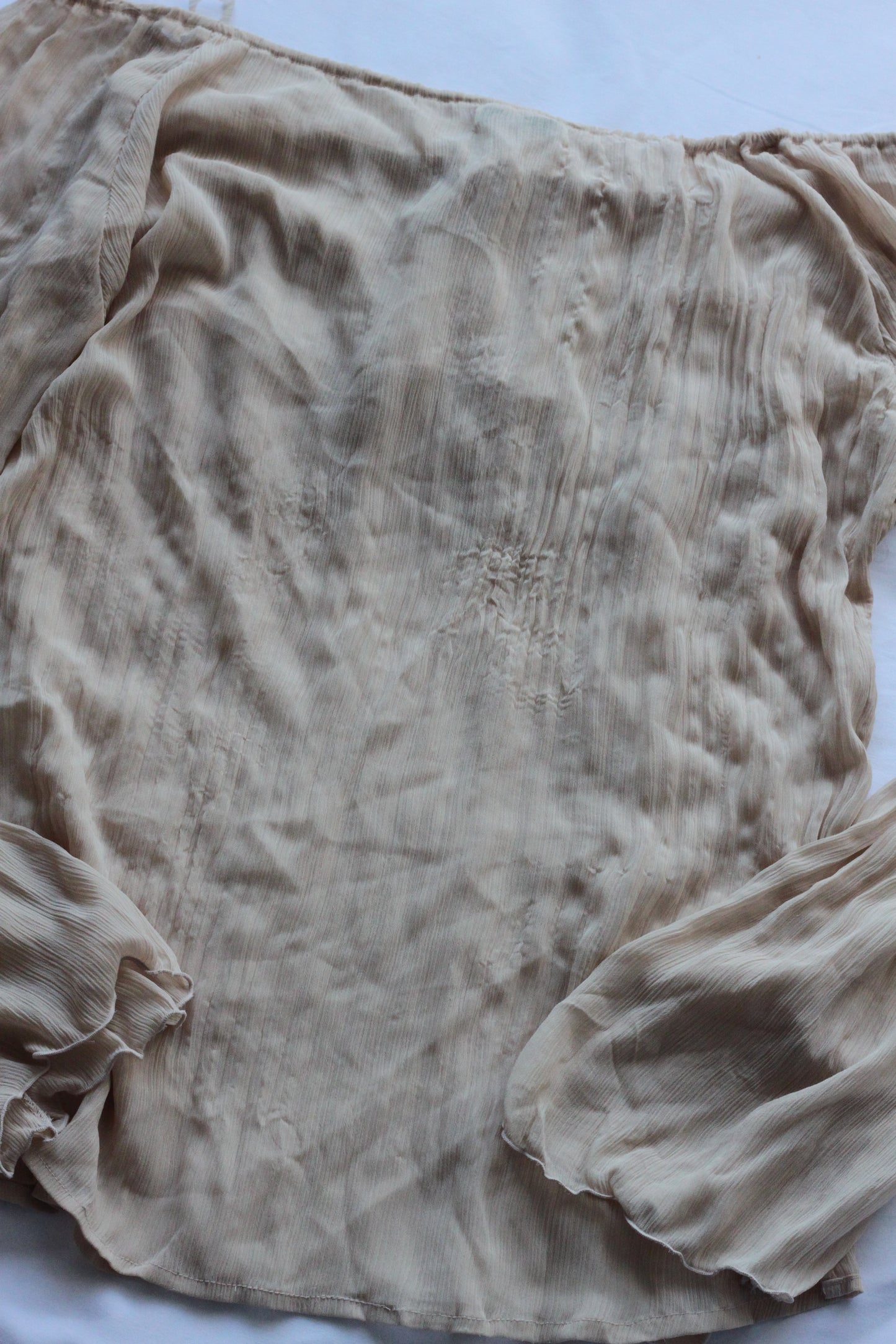 Beautiful Vintage Sheer Top