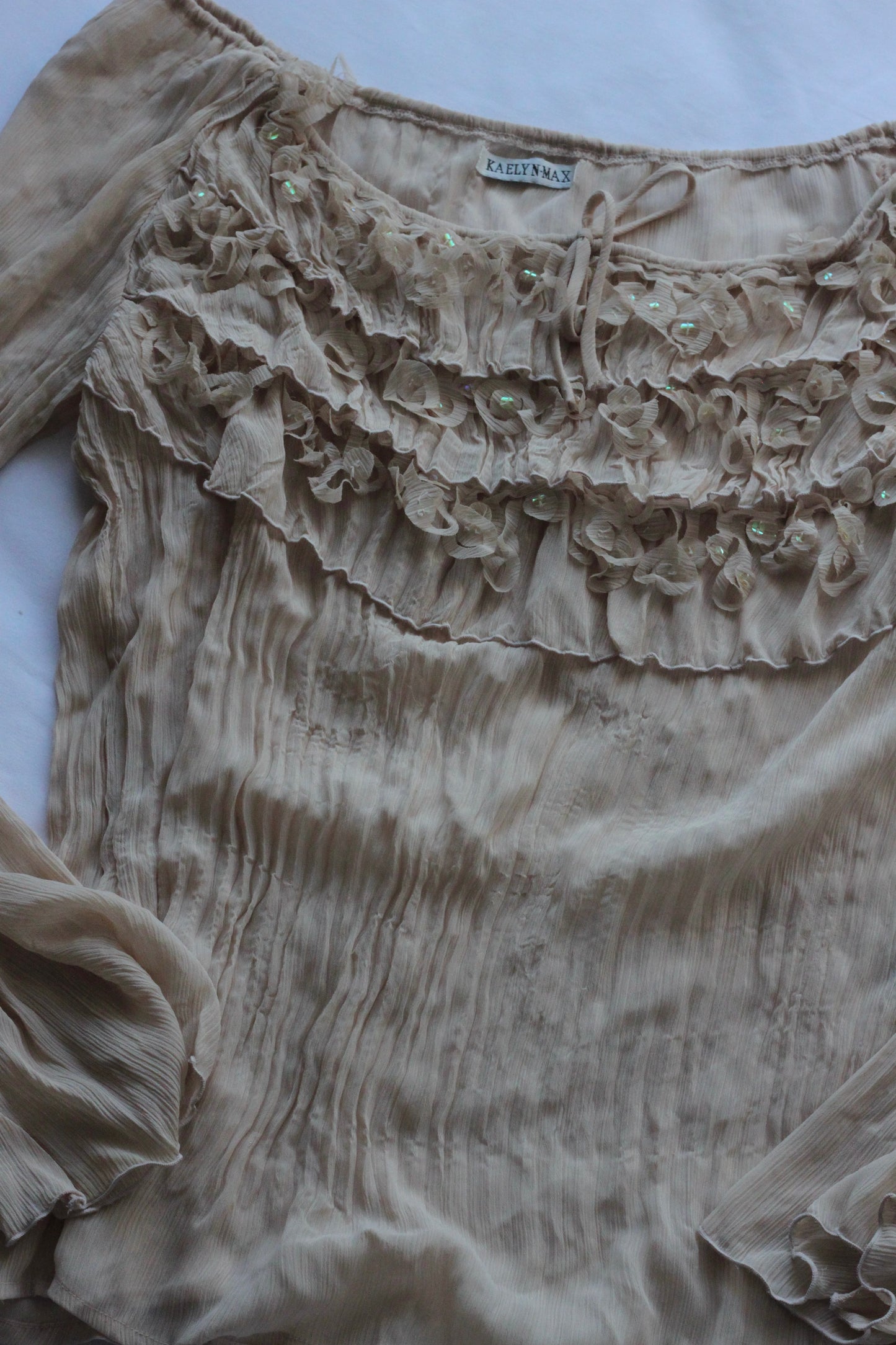 Beautiful Vintage Sheer Top