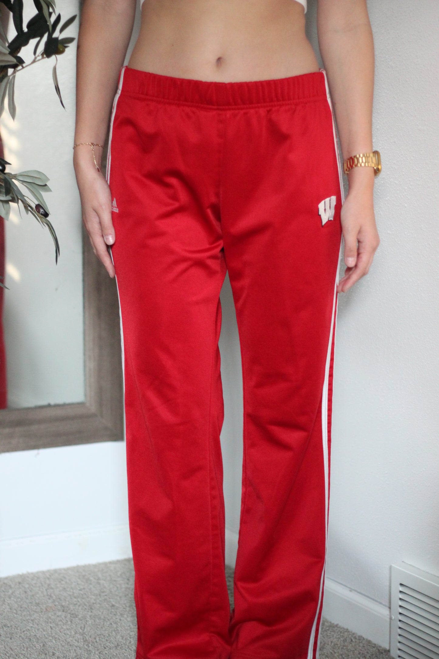 Wisco Adidas Pants